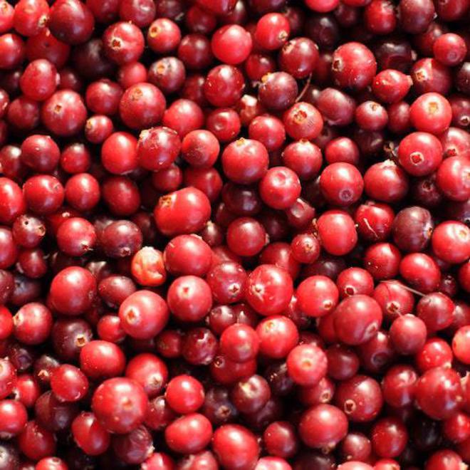 Cranberry glycerite extract image 0